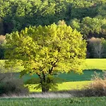 Gaestehaus Lassbruch Отель типа 