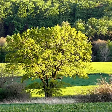 Bed & Breakfast Gaestehaus Lassbruch Extertal