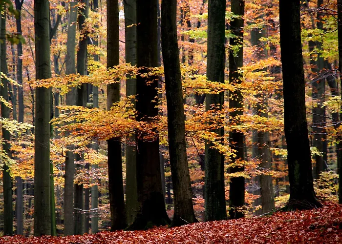 Gaestehaus Lassbruch Extertal