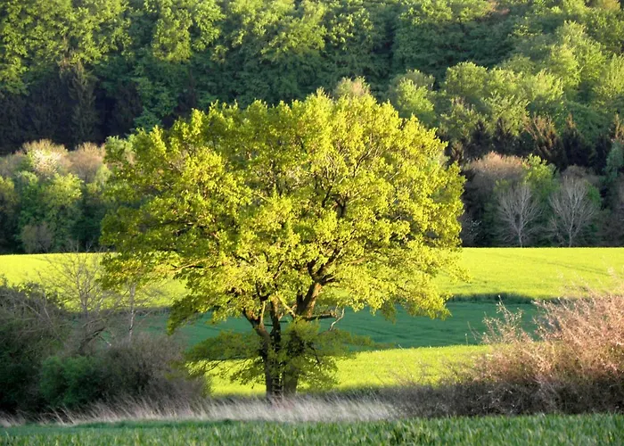 拉布郎池住宿加早餐旅馆 住宿加早餐酒店 埃克斯特塔尔